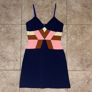 BNWT Lily Bloom Dress